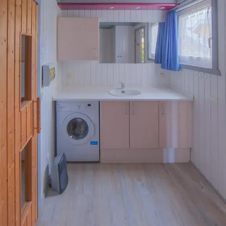 Wildgans 137 * Mirow